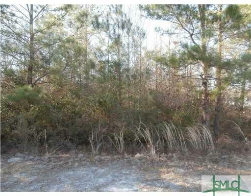 Property Photo:  0 Windy Oaks (Lot 23) Court  GA 31320 