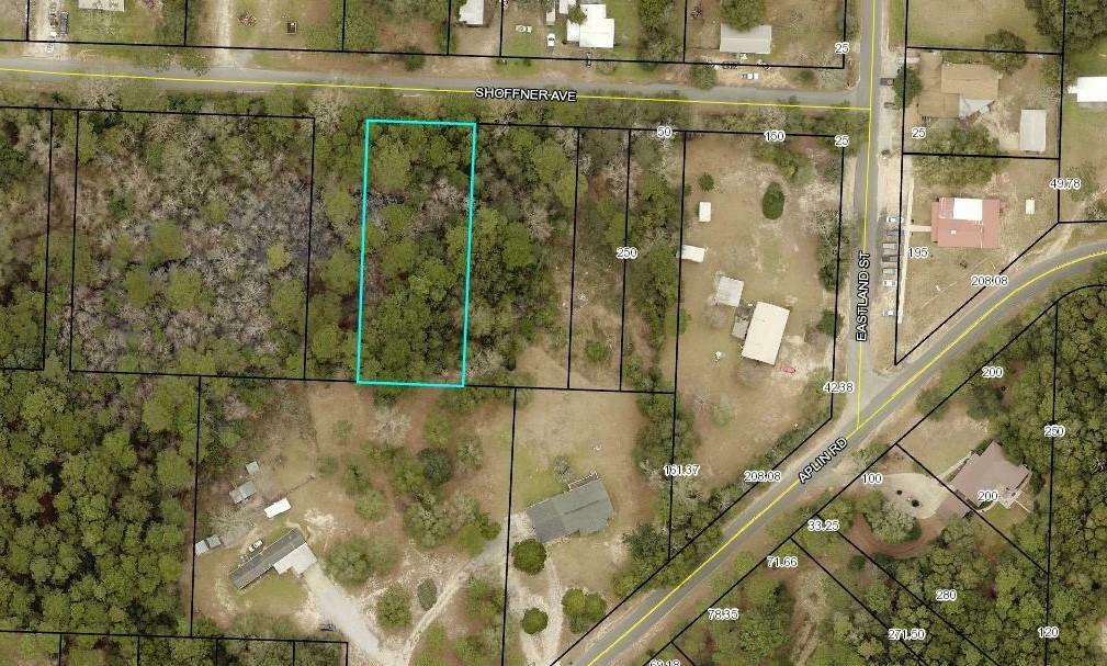 Property Photo:  Lots 54&55 Shoffner Avenue  FL 32539 