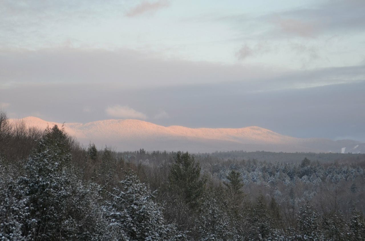 Property Photo:  1890 North Branch Road  VT 05753 