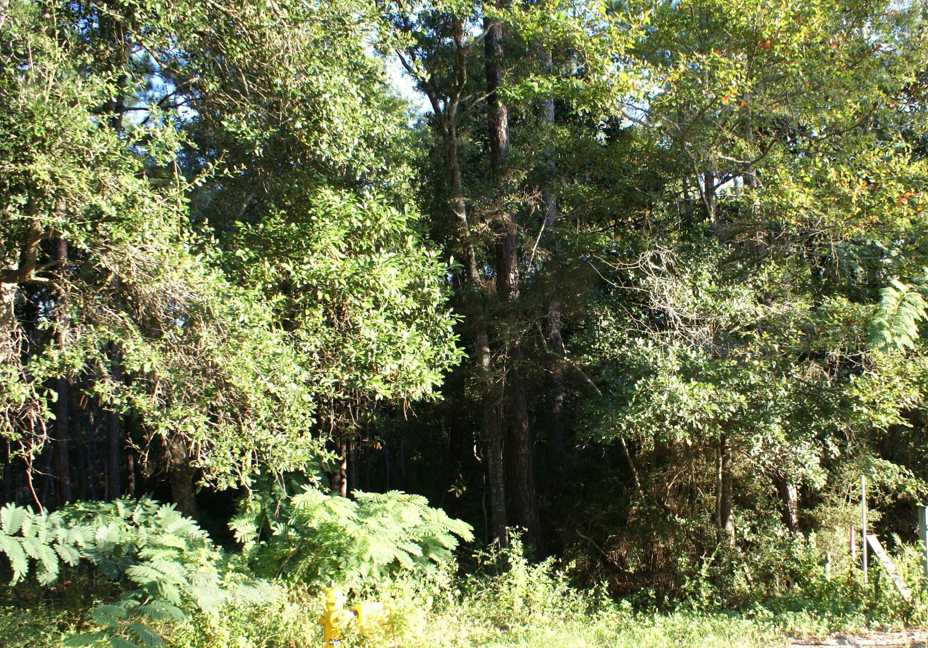 Property Photo: Lot B Bayshore Drive FL 32439