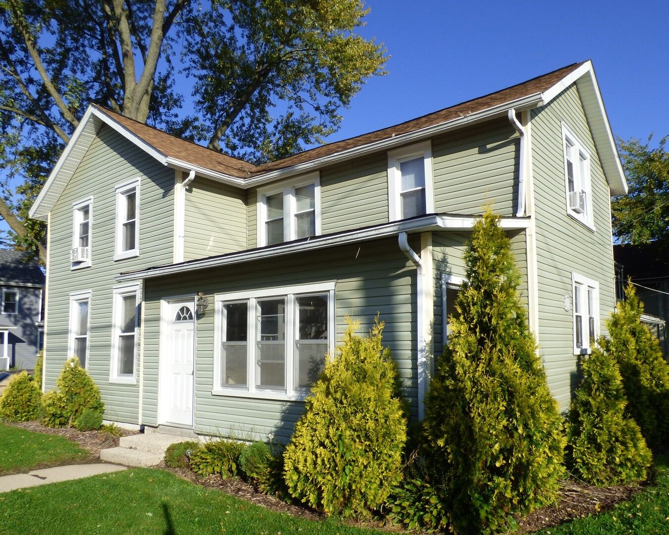 Property Photo: 124 West Jefferson Avenue IL 60140