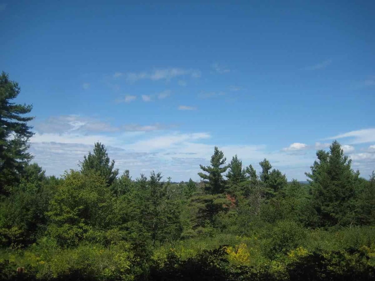 Property Photo:  650 Elfin Lane  VT 05445 