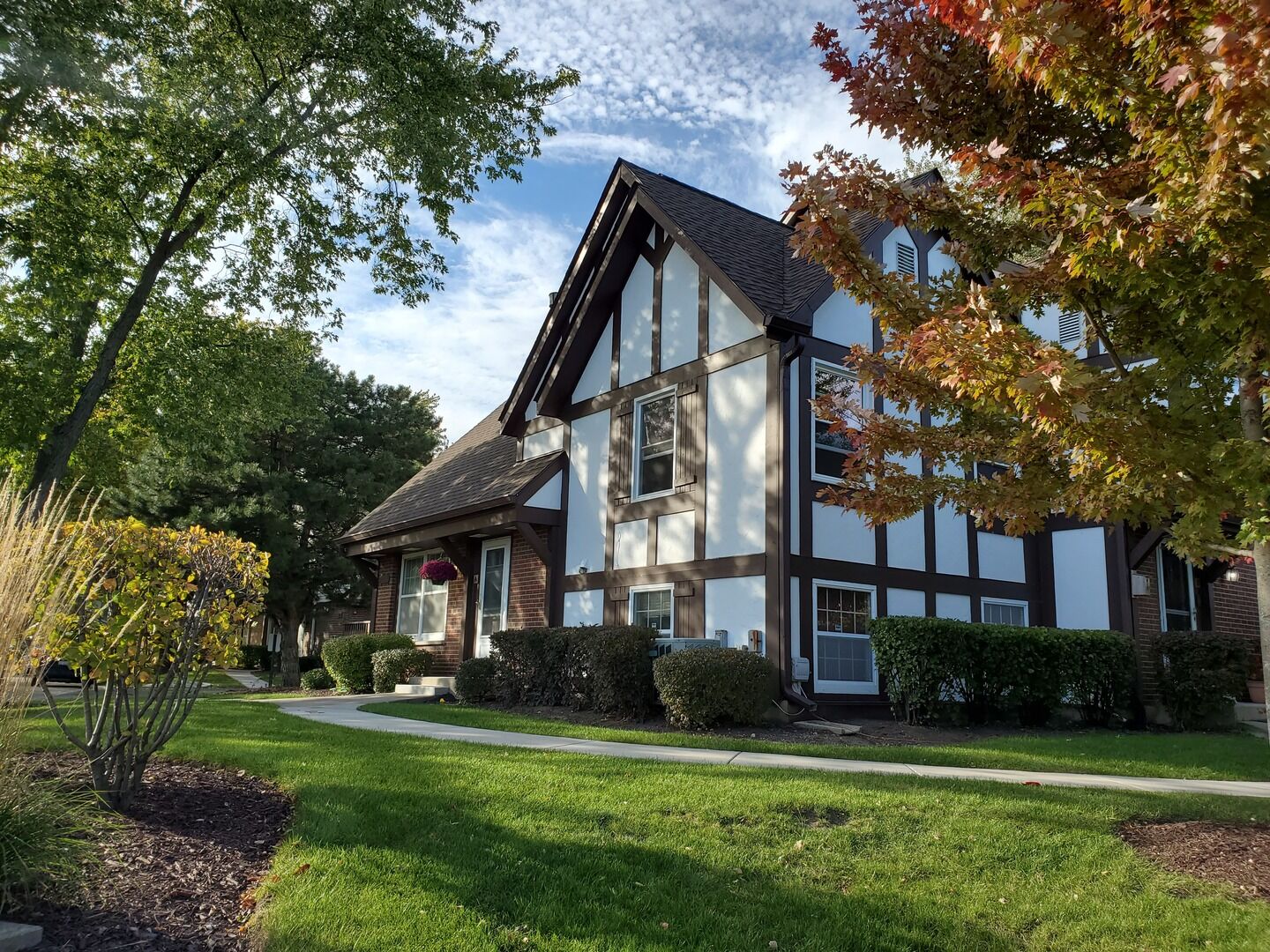 Property Photo:  2708 Weeping Willow Drive  IL 60532 