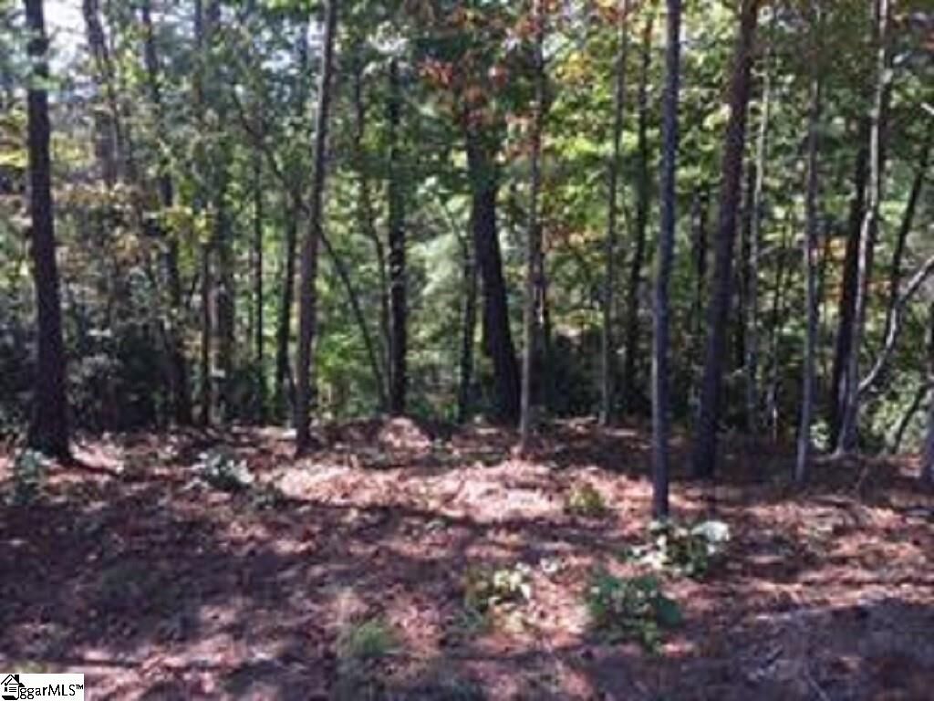 Property Photo:  231 S Lake Drive  SC 29685 