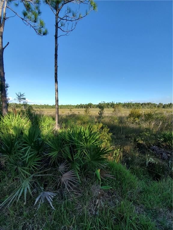 Property Photo:  32714 Oil Well Road  FL 33955 