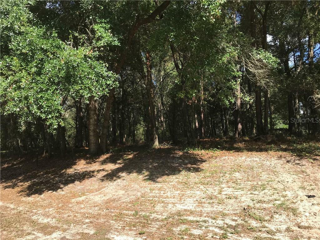 Property Photo:  133 Piney Woods Road  FL 32703 