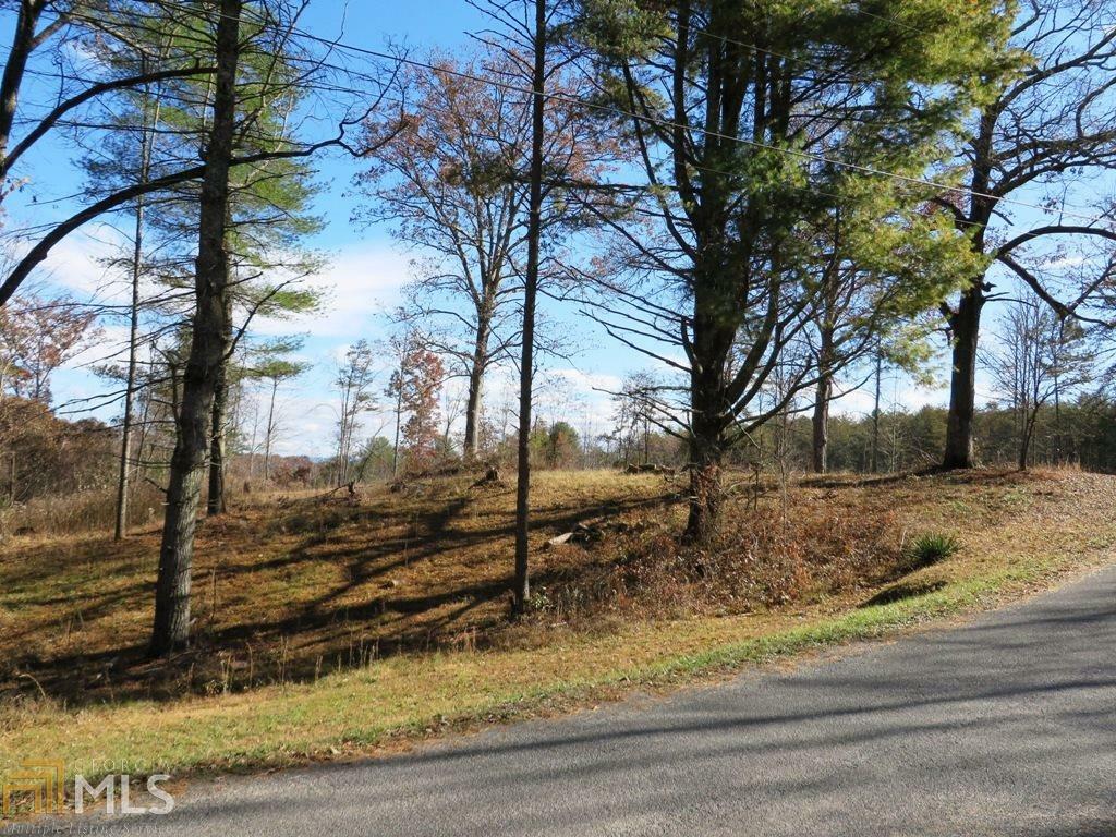 Property Photo:  18ac Queens Avenue 18 Ac  GA 30513 