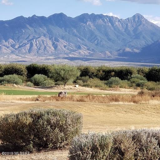 Property Photo:  3755 S Camino Del Golfista  AZ 85614 