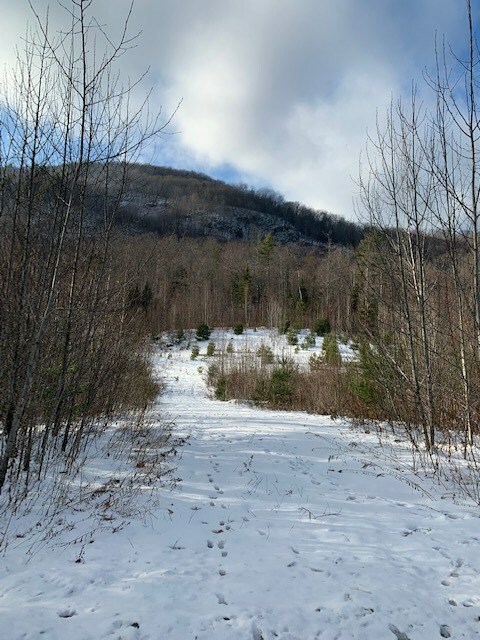Property Photo: 0 Skinny Ridge Road NH 03585