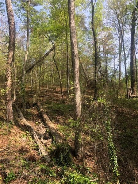 Property Photo:  184 Falcon Creek Trail  GA 30041 