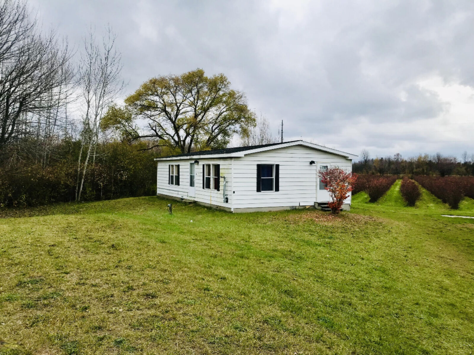Property Photo:  5105 Airline Road  MI 49415 