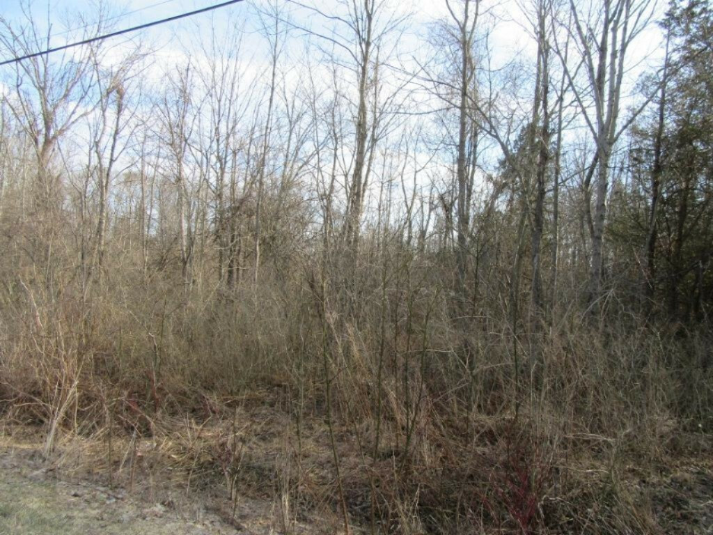 Property Photo:  Lake Ridge Road  MI 49090 