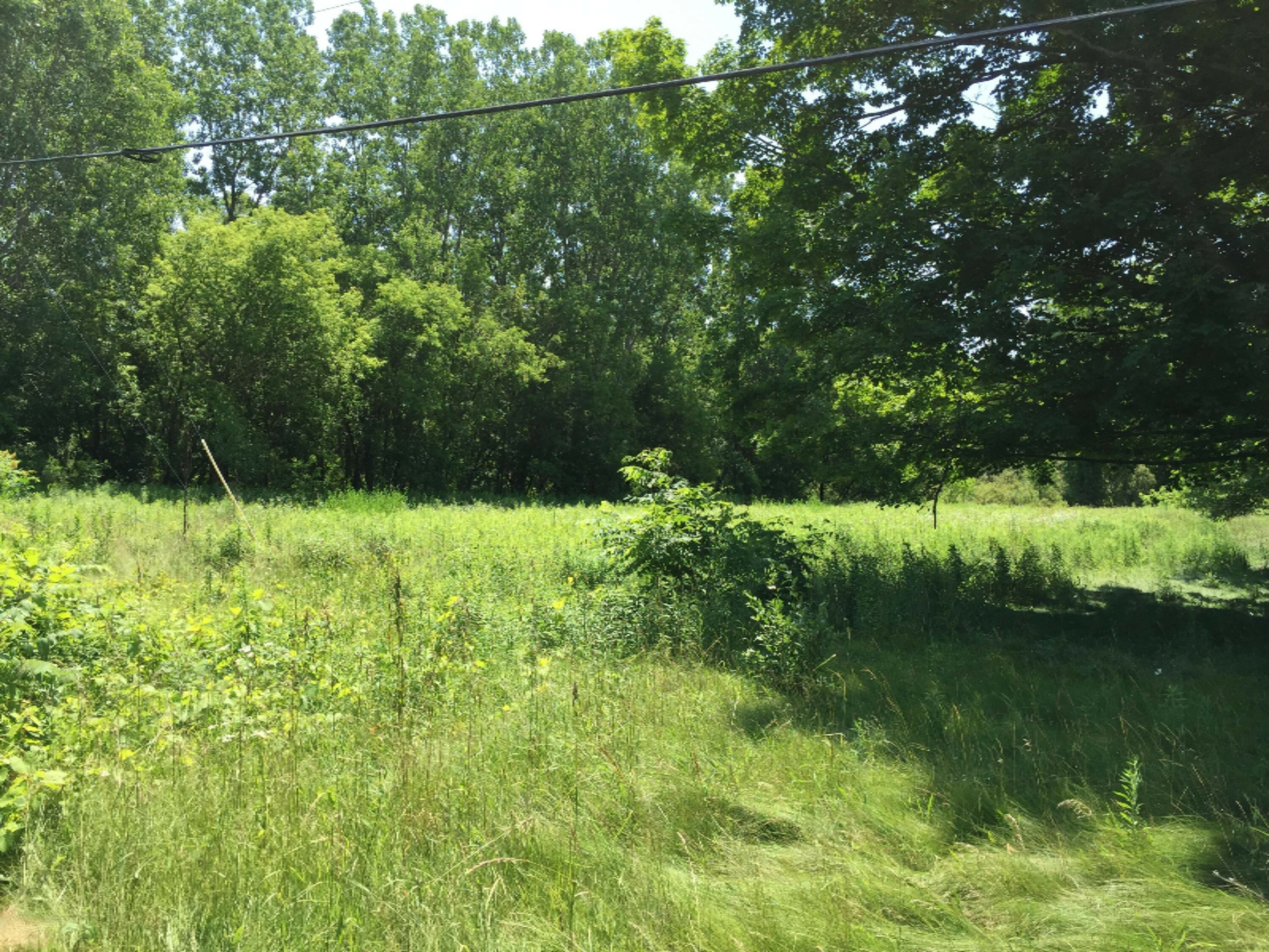 Property Photo:  1050 10 Mile Road NW  MI 49345 