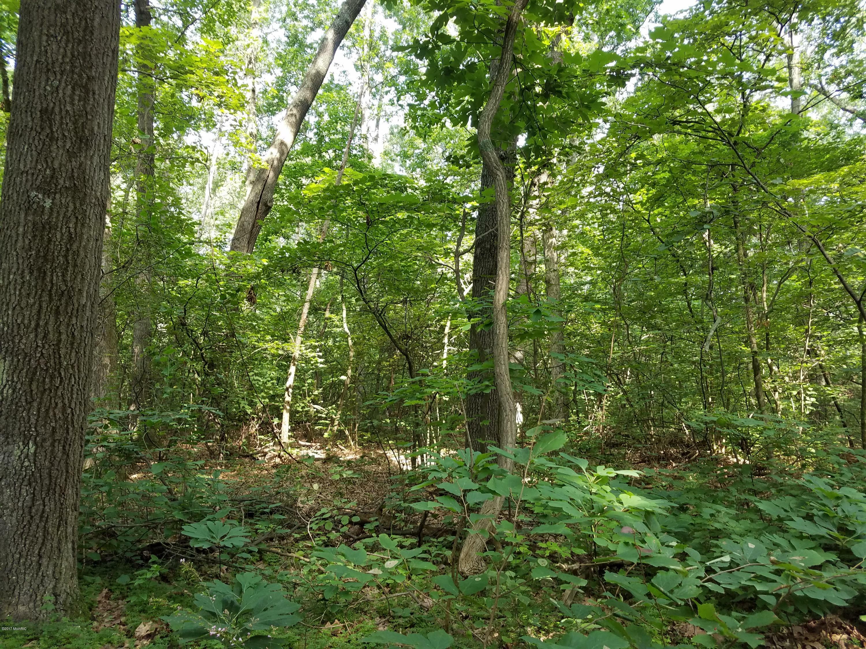 Property Photo:  3162 62nd Street  MI 49453 
