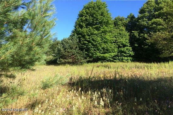 Property Photo:  Private Road  MI 49459 