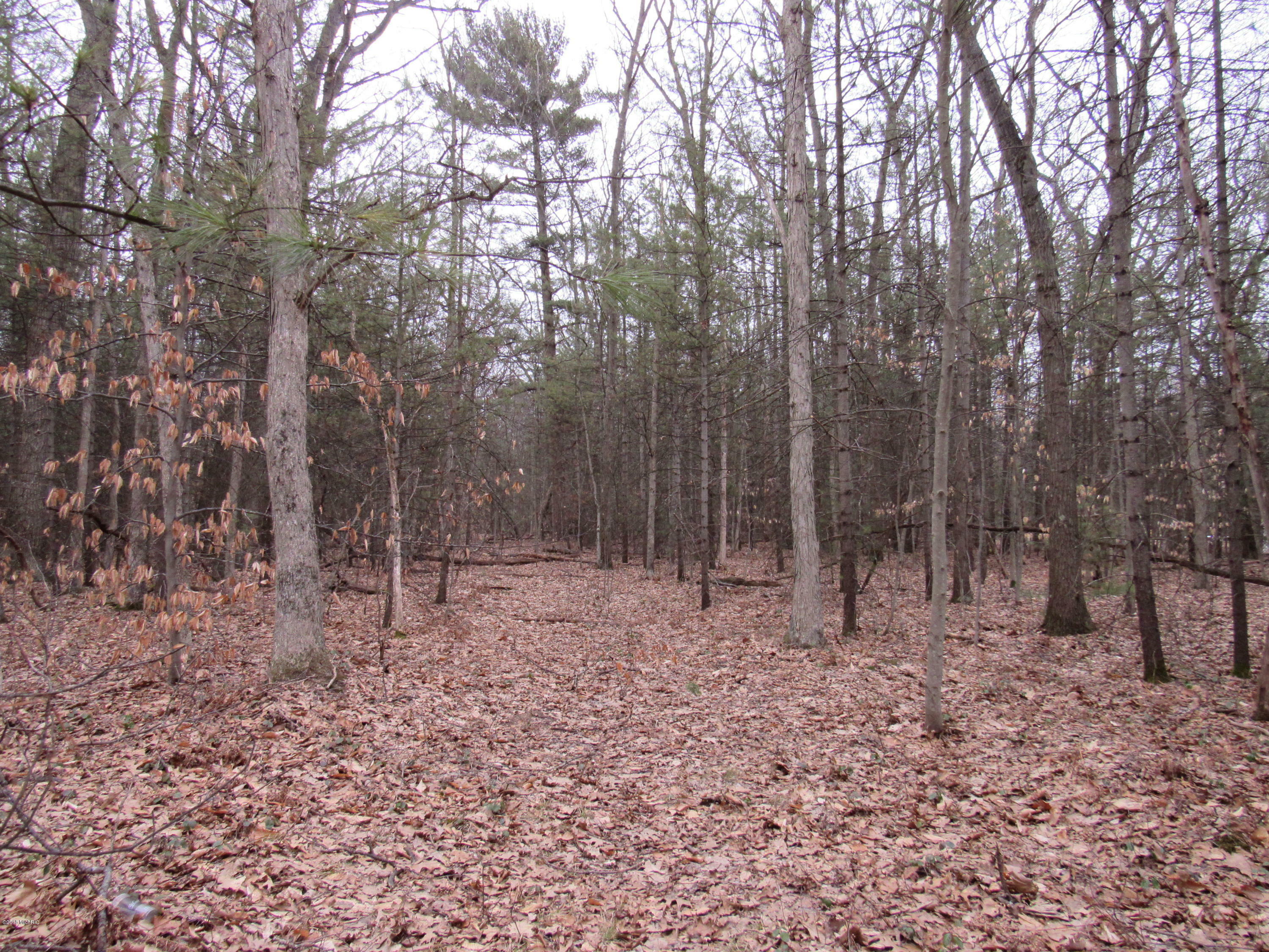 Property Photo:  Orshal Road  MI 49461 