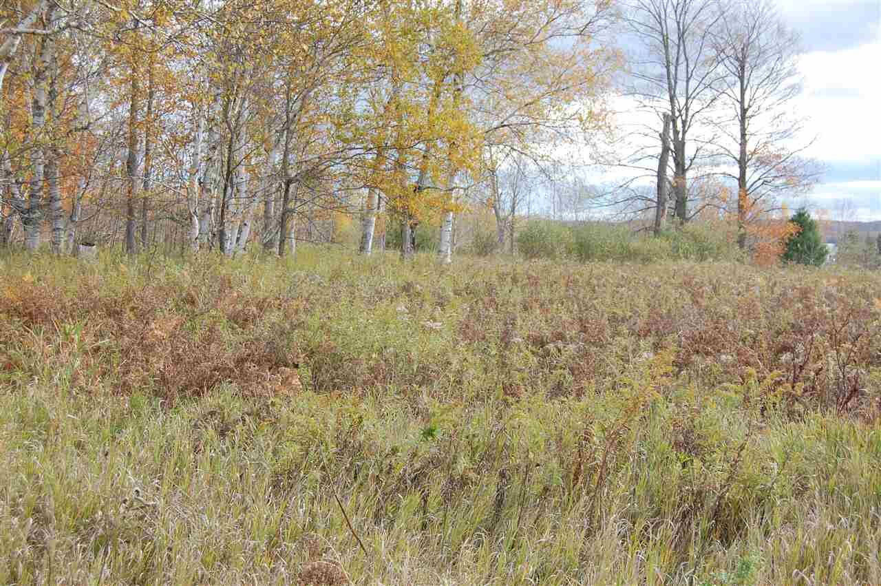 Property Photo: Tbd Sunset MI 49706