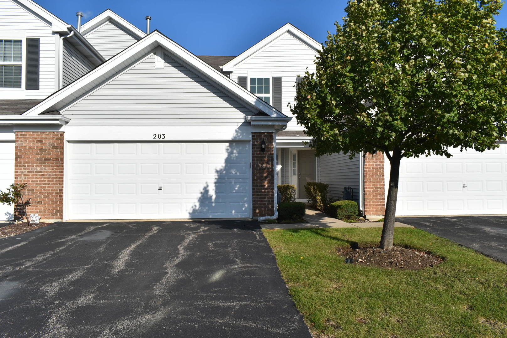 Property Photo:  203 Macintosh Avenue  IL 60098 