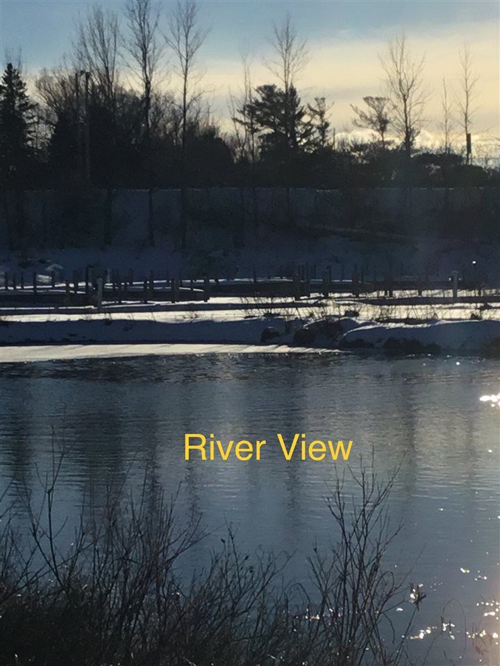 Property Photo: 0 Spring MI 49706