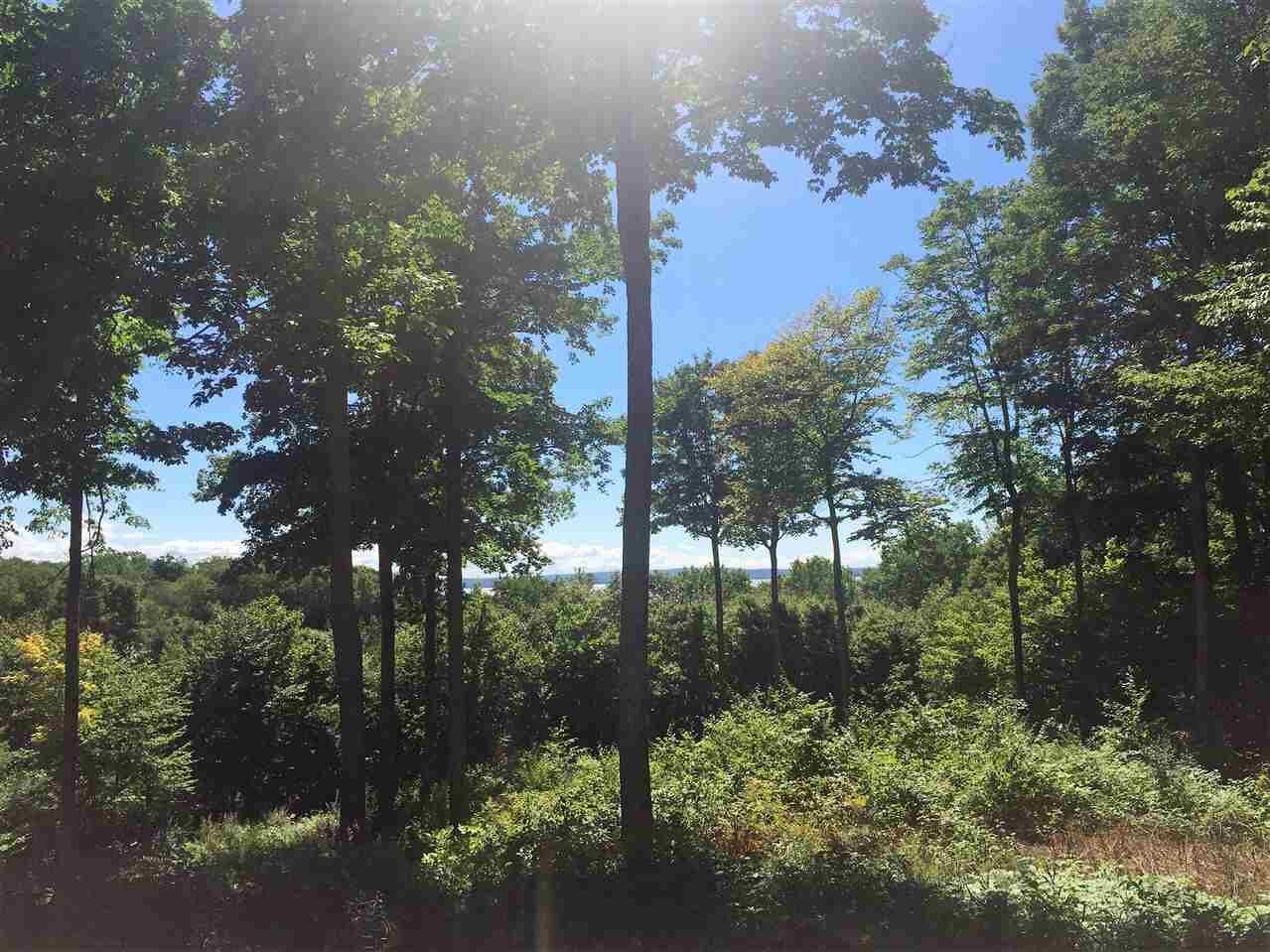 Property Photo:  500 Westridge, #20 Unit #20  MI 49740 