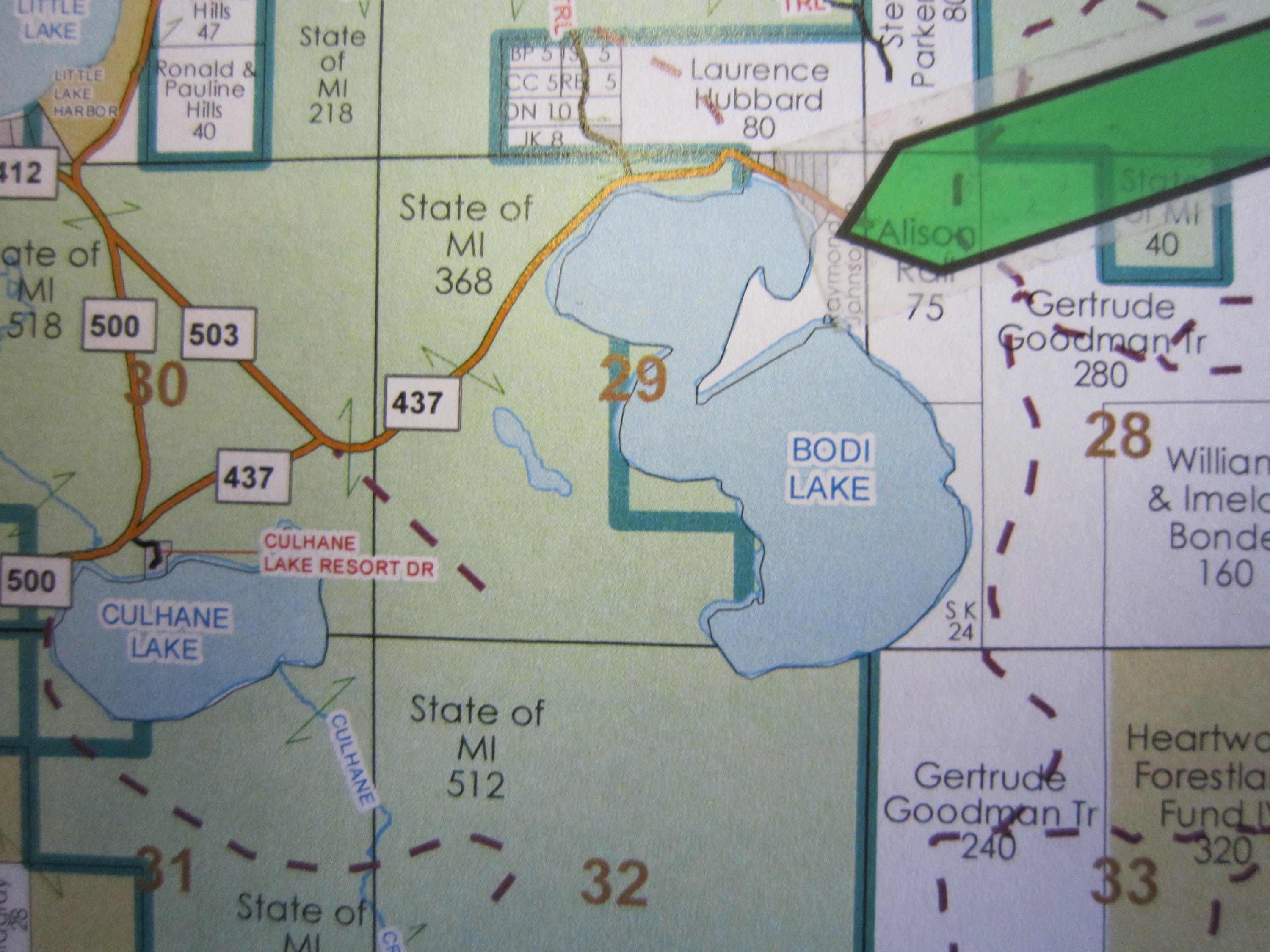 Lot E Bodi Lake  Newberry MI 49868 photo