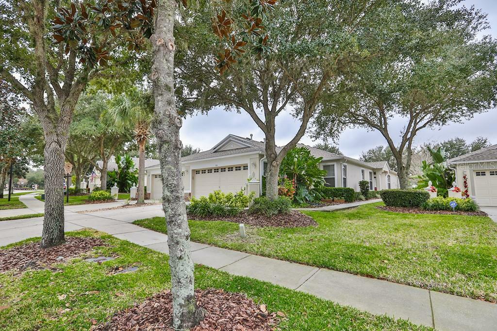 Property Photo:  5911 Phoebenest Drive  FL 33547 