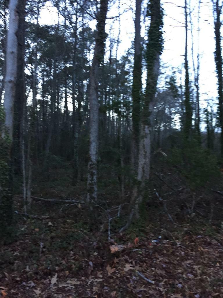 Property Photo:  Lot6&7 Daugherty Rd  VA 23418 