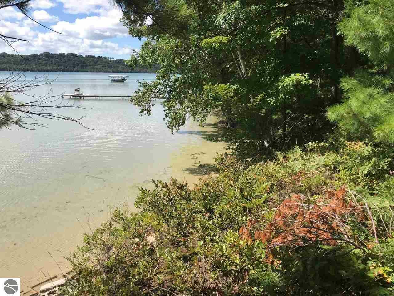 Property Photo:  E Traverse Lake Road  MI 49621 