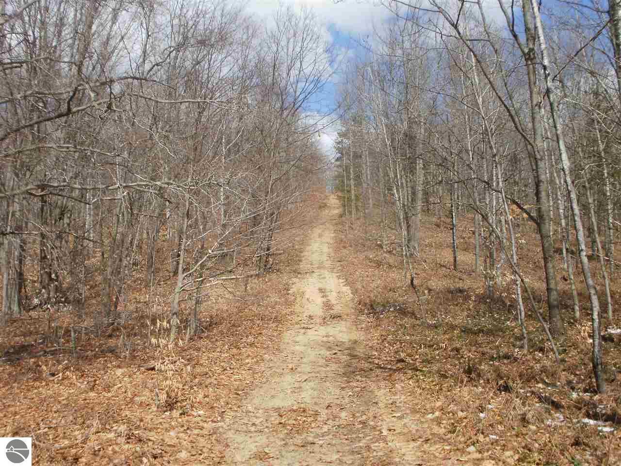 Property Photo:  Woodland Drive Parcel #48  MI 49657 