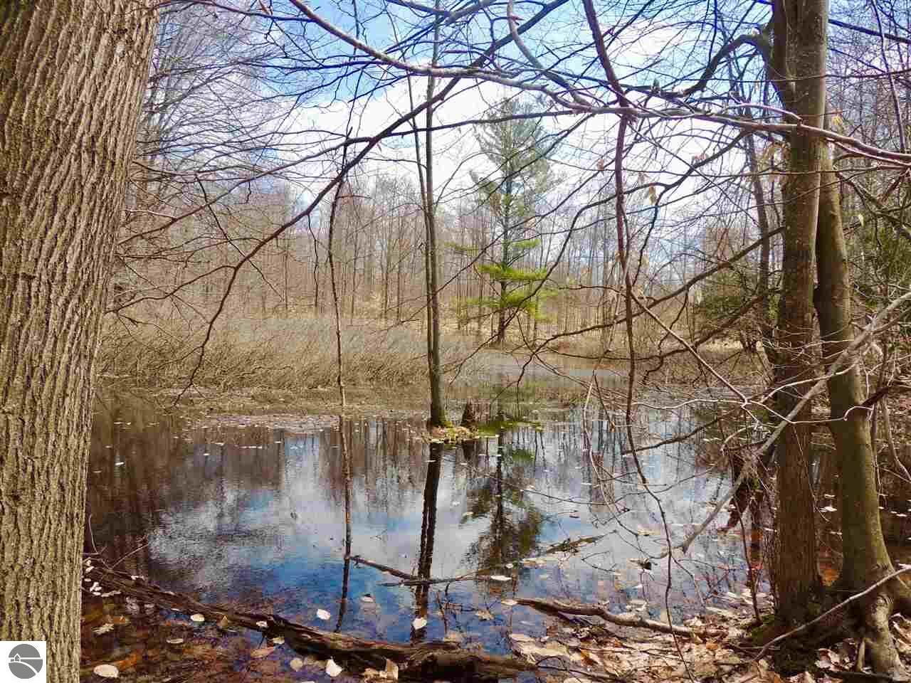 Property Photo:  Lot 'G' Green Briar Road  MI 49650 