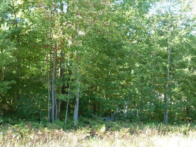 Property Photo:  2208 Sommerset Drive Lot 11  MI 49707 