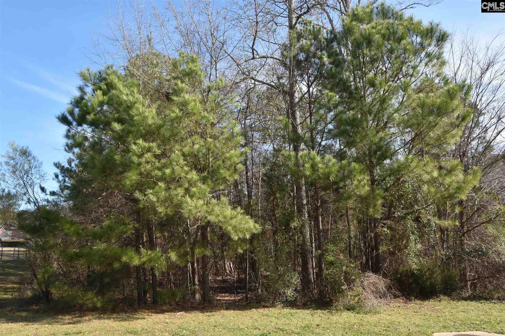 Property Photo:  409 Jasmine Key  SC 29036 