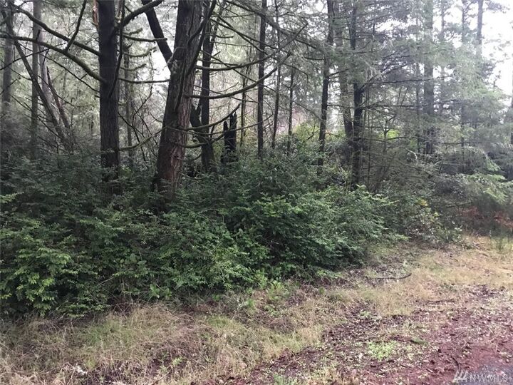 Property Photo:  11115 108th St  WA 98303 