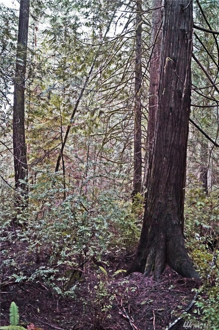 Property Photo:  14 SE Arcadia Shores Rd  WA 98584 