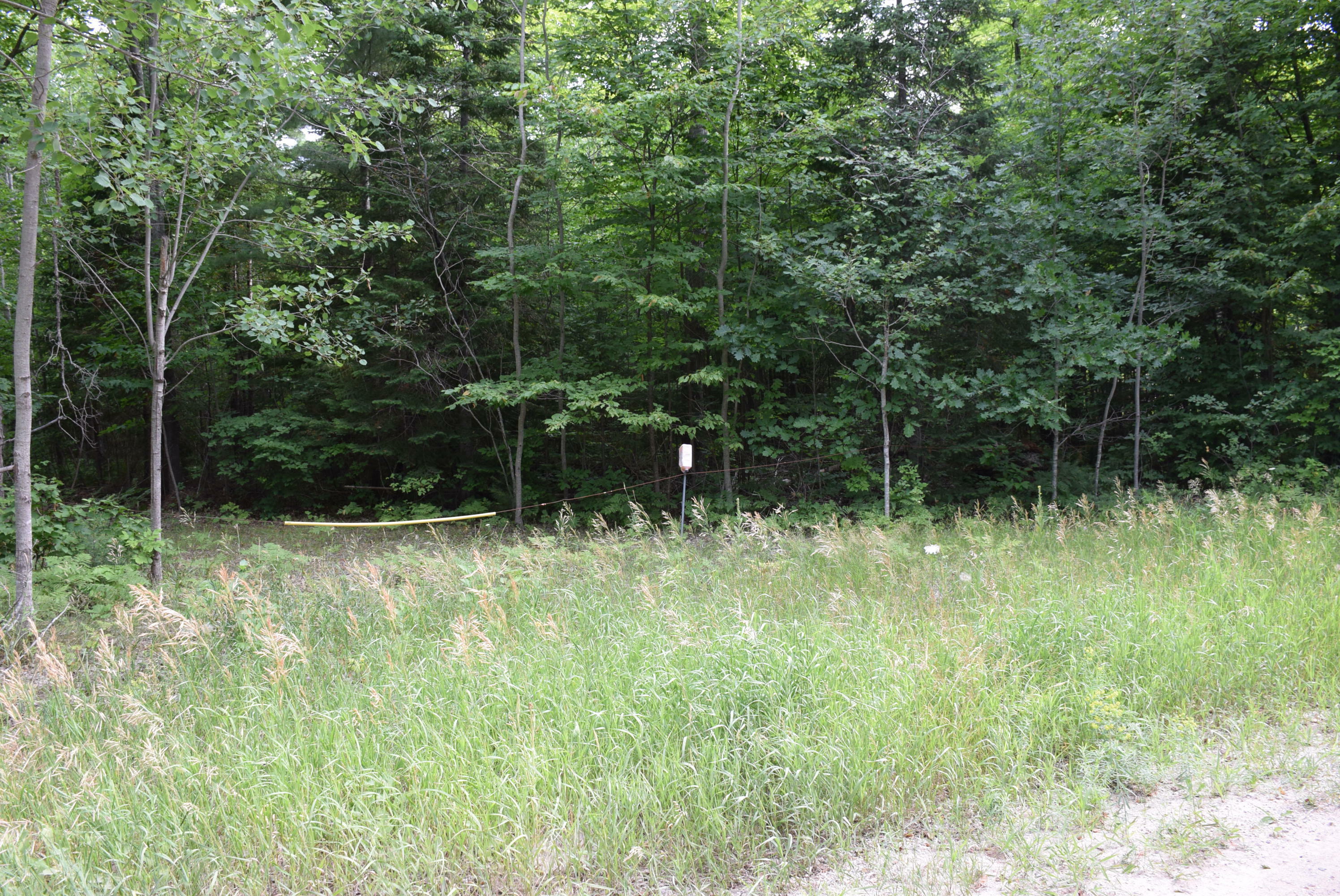 Property Photo:  Old School Road 10 Acres  MI 49749 