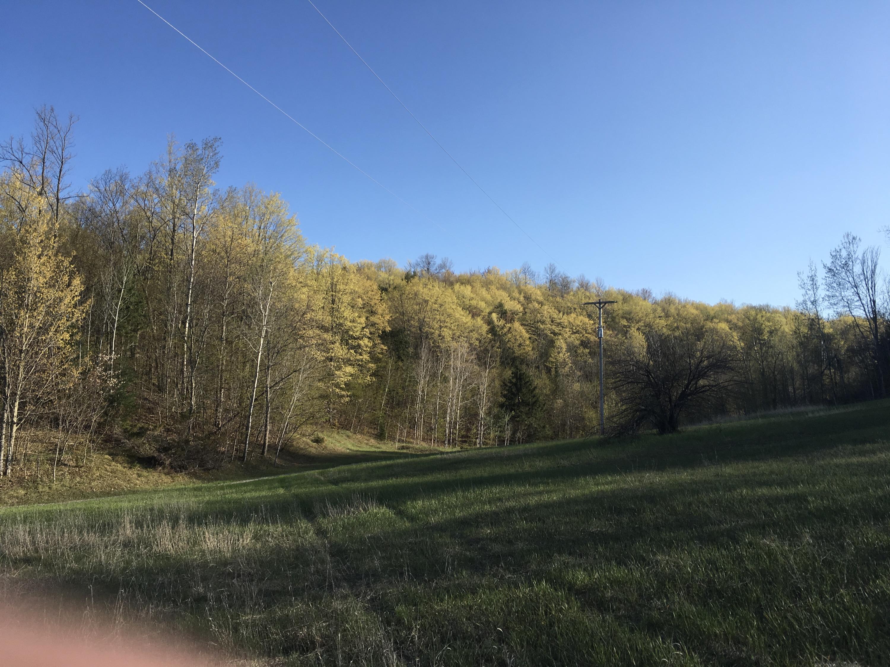 Property Photo: 9850 S Straits Highway 36 Acres MI 49799