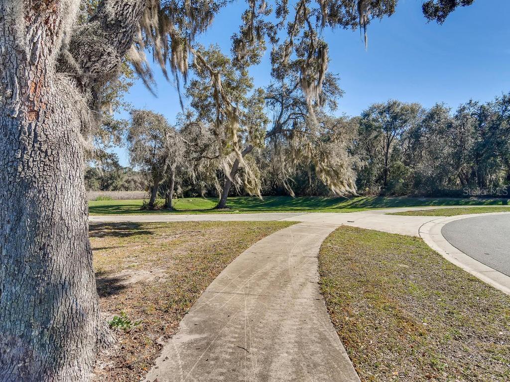 Property Photo: 35003 Winter Oak Lane FL 34788