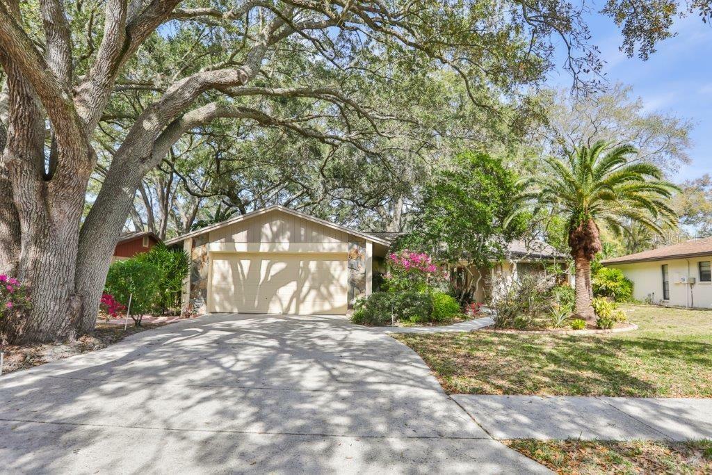 Property Photo:  3615 Arlington Oaks Court  FL 33618 