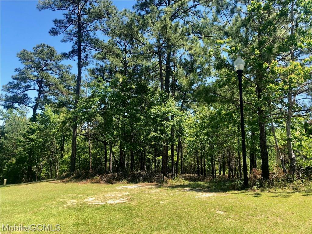 Property Photo:  Boardwalk Drive  AL 36527 