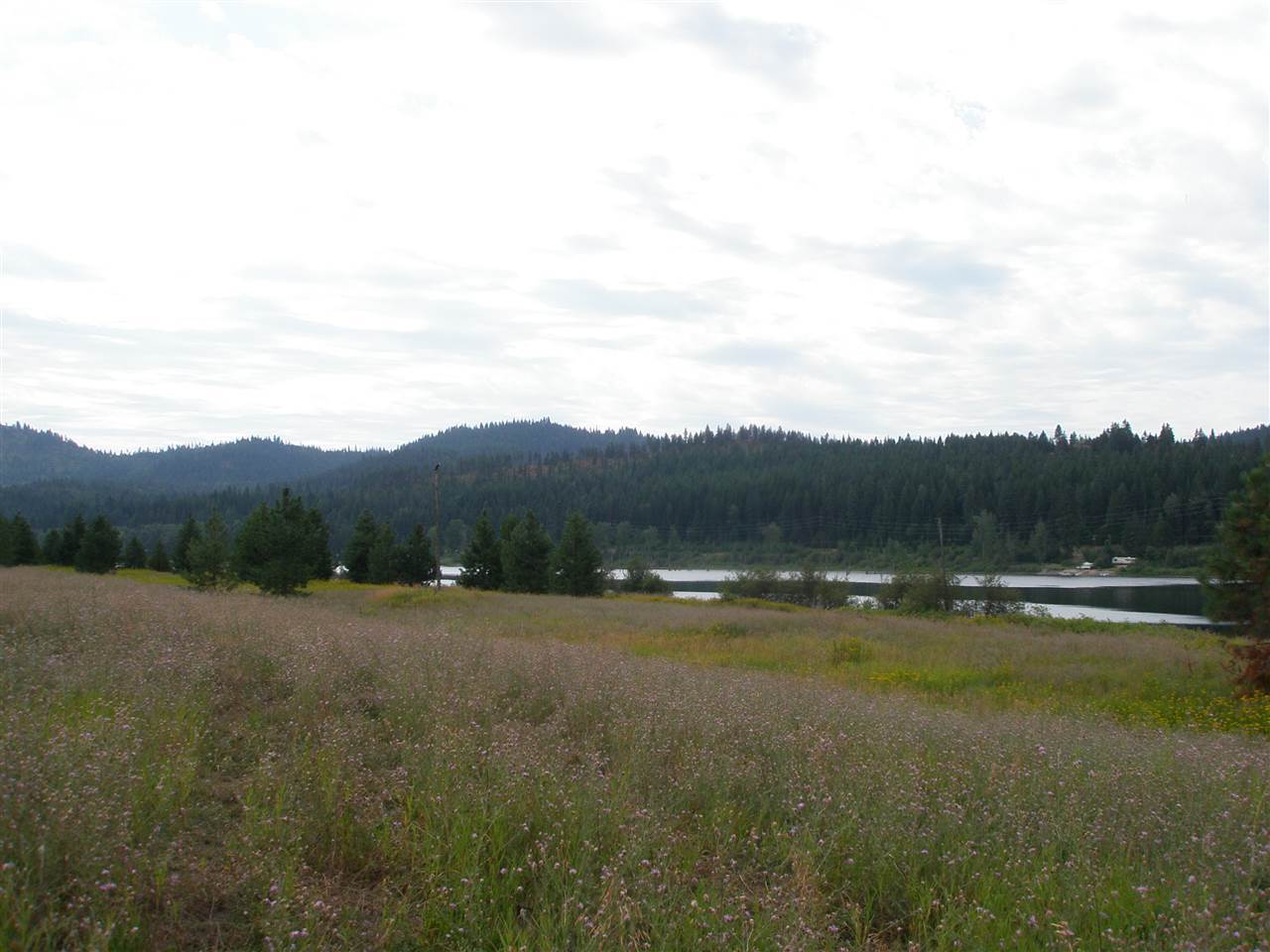 Property Photo: 802 Open Skies Rd WA 99156