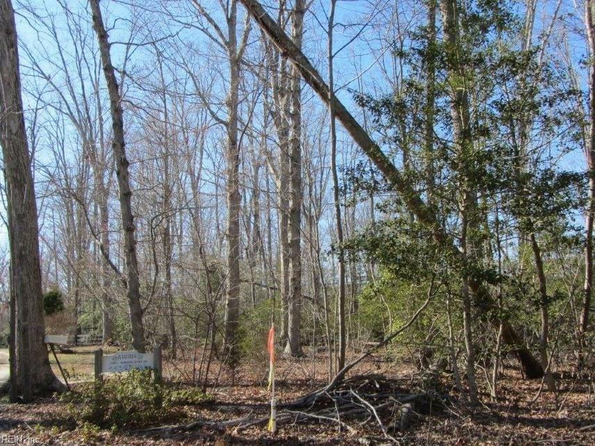 Property Photo:  3.85ac Morning Glory Road  VA 23061 