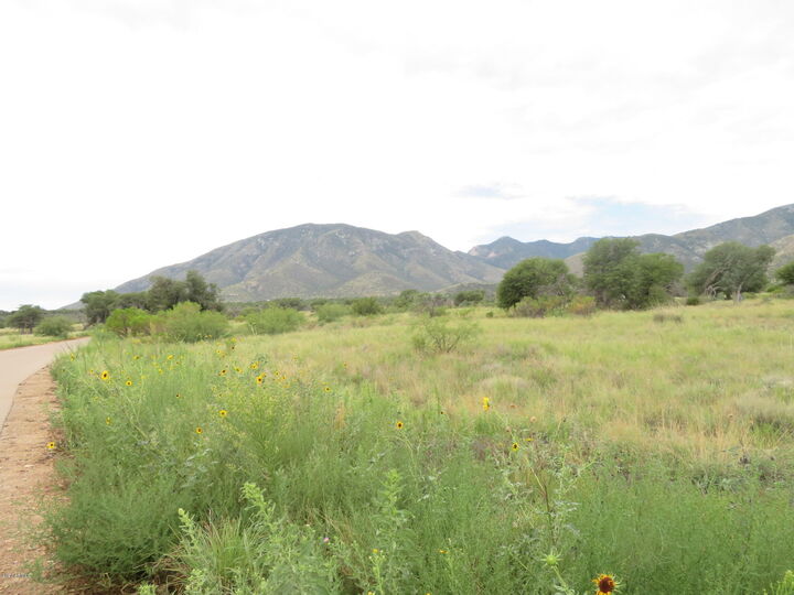 Property Photo: Lot 48 Seven Oaks Drive AZ 85615