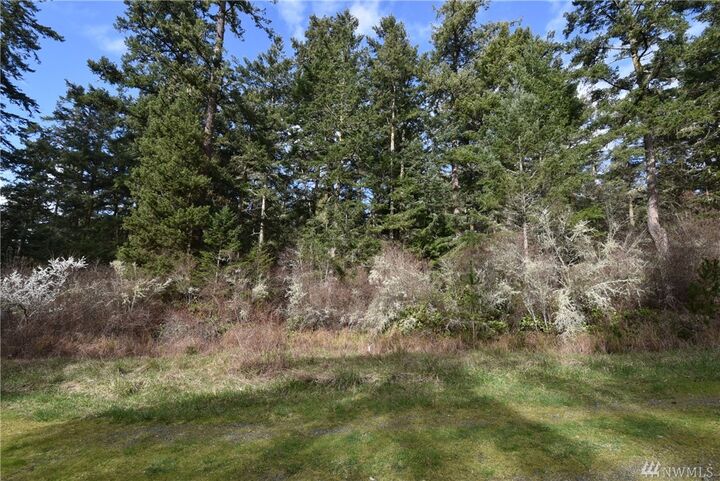 32 Rosario Ct  Decatur Island WA 98221 photo