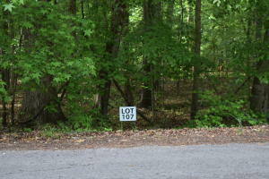 Lot 107 Treasure Tree Rd  Ten Mile TN 37880 photo