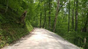 Property Photo:  Hoskins Gap Rd  TN 37840 