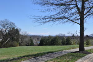 Property Photo:  12454 Ivy Lake Drive  TN 37934 