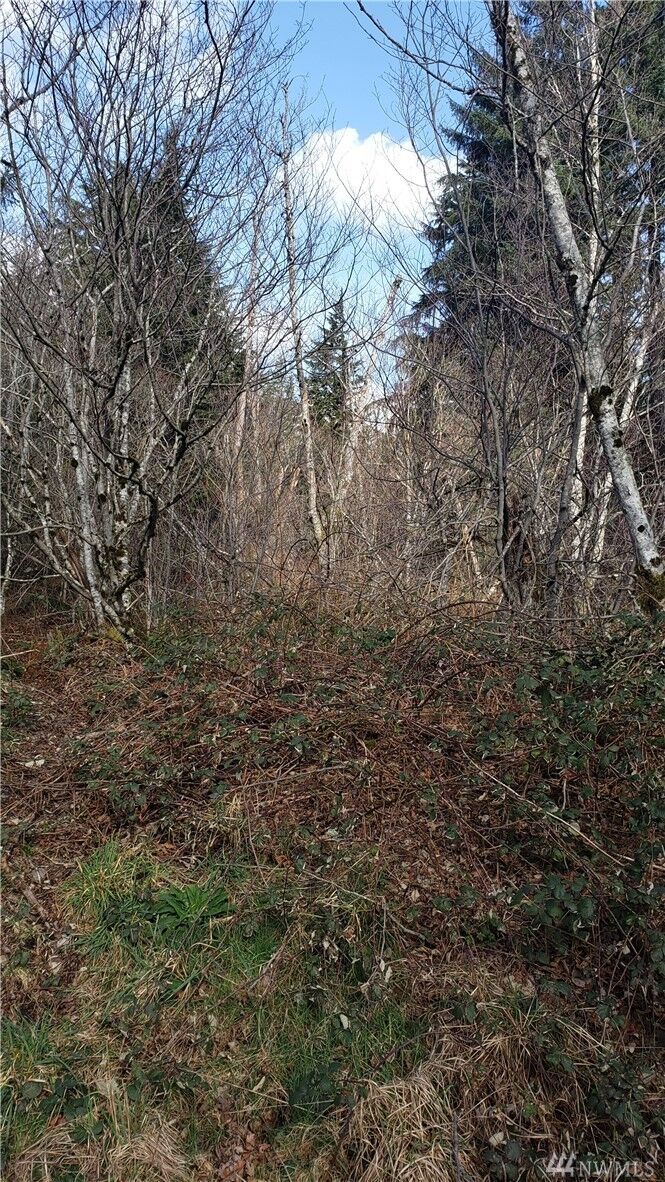 Property Photo: 31900 SE Retreat Kanasket Dr WA 98051