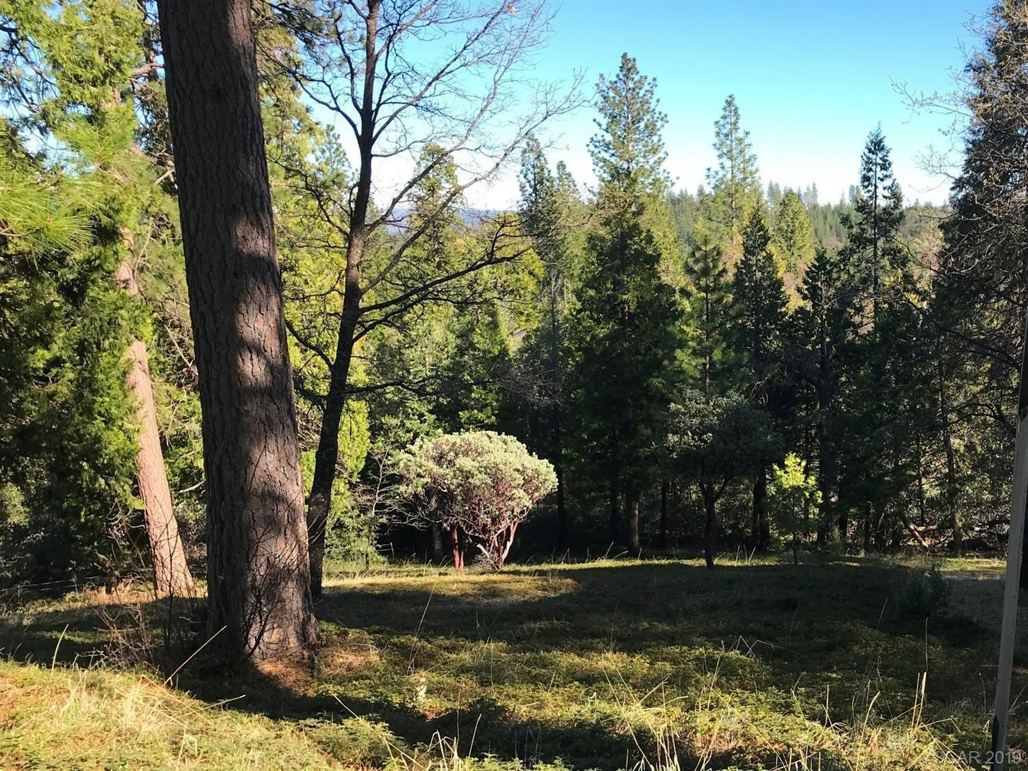 Property Photo:  697 Sheep Ranch Rd  CA 95224 