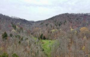 Property Photo:  To Show Th Jones Ridge Rd  TN 37870 