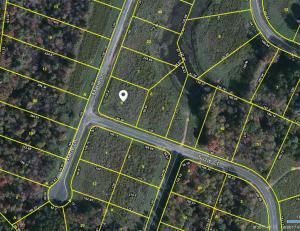 Property Photo:  Lot 103 Suzie Court  TN 38555 